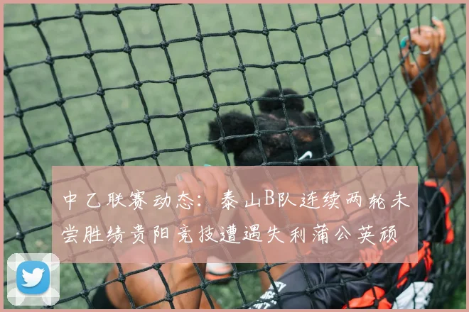 中乙联赛动态：泰山B队连续两轮未尝胜绩贵阳竞技遭遇失利蒲公英顽强战平