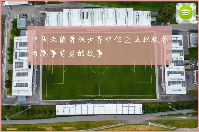 中国未能晋级世界杯但企业积极参与赛事背后的故事