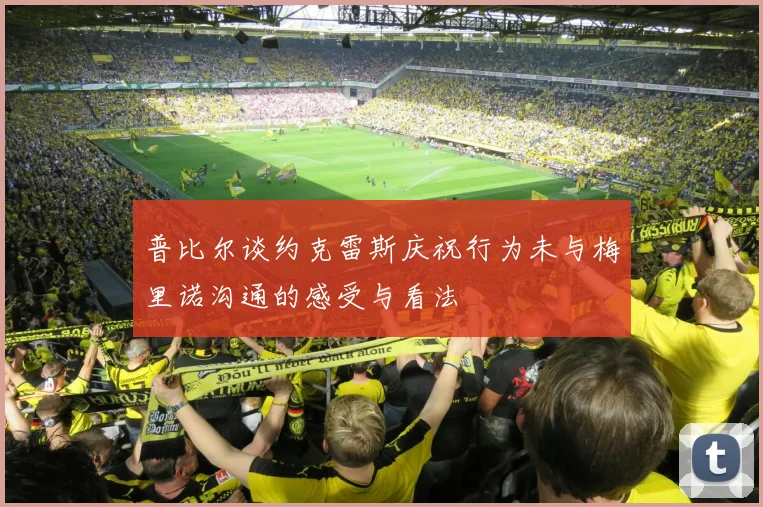 普比尔谈约克雷斯庆祝行为未与梅里诺沟通的感受与看法