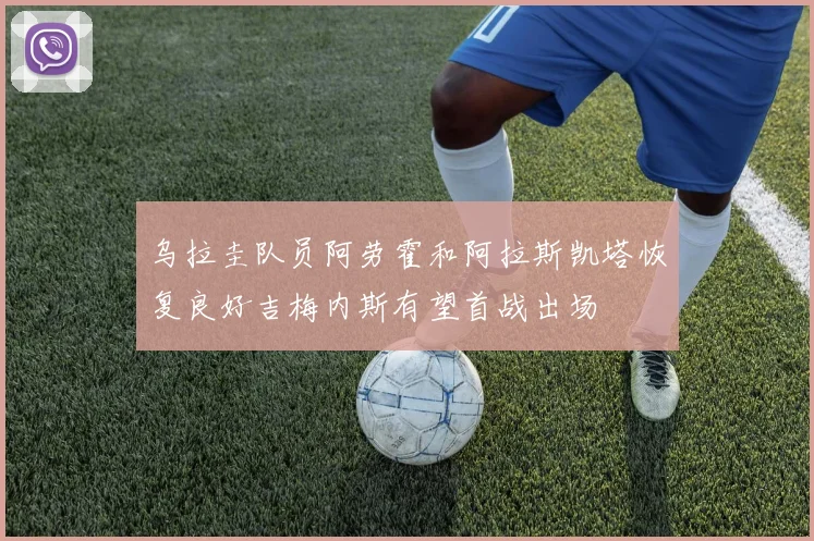 乌拉圭队员阿劳霍和阿拉斯凯塔恢复良好吉梅内斯有望首战出场