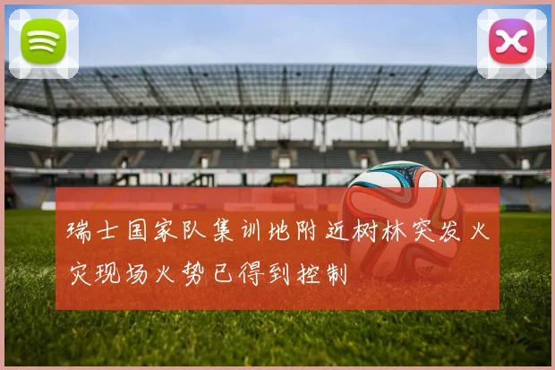 瑞士国家队集训地附近树林突发火灾现场火势已得到控制