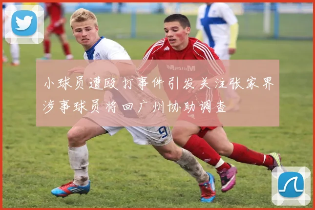 小球员遭殴打事件引发关注张家界涉事球员将回广州协助调查